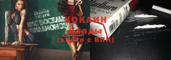 трава Корсаков