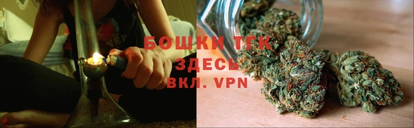 индика Коряжма