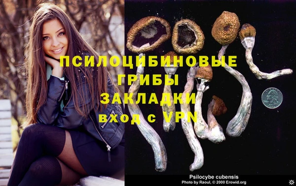 mix Арсеньев