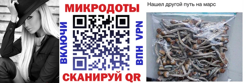 Галлюциногенные грибы мицелий Зверево